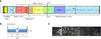 Periodic Lagrangian Coherent Structures around a tidal inlet